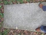image of grave number 528079